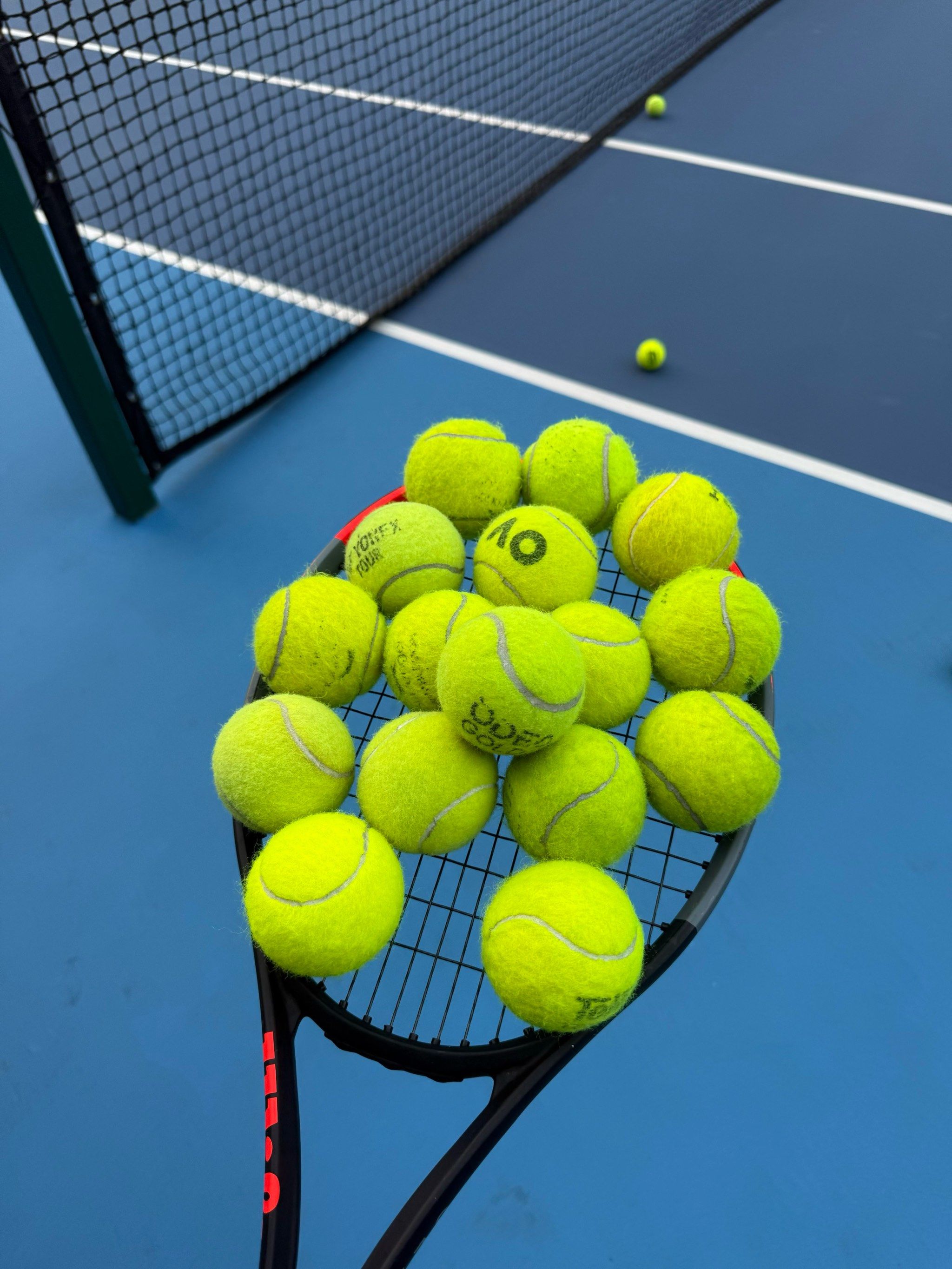 而他们出色 而他们出色